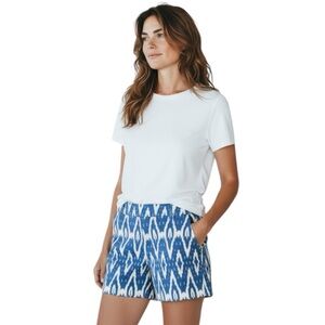 J.Crew Blue White Pattern Chino Shorts  Women’s 14 - Plus Size Waist 38        Q
